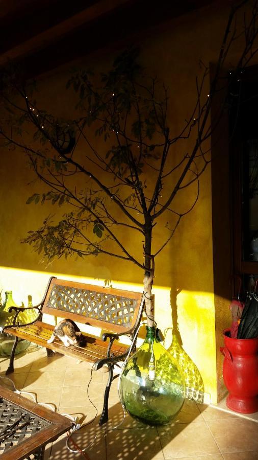 Bed and Breakfast La Cascina Di Alice Castiglione Delle Stiviere Zewnętrze zdjęcie